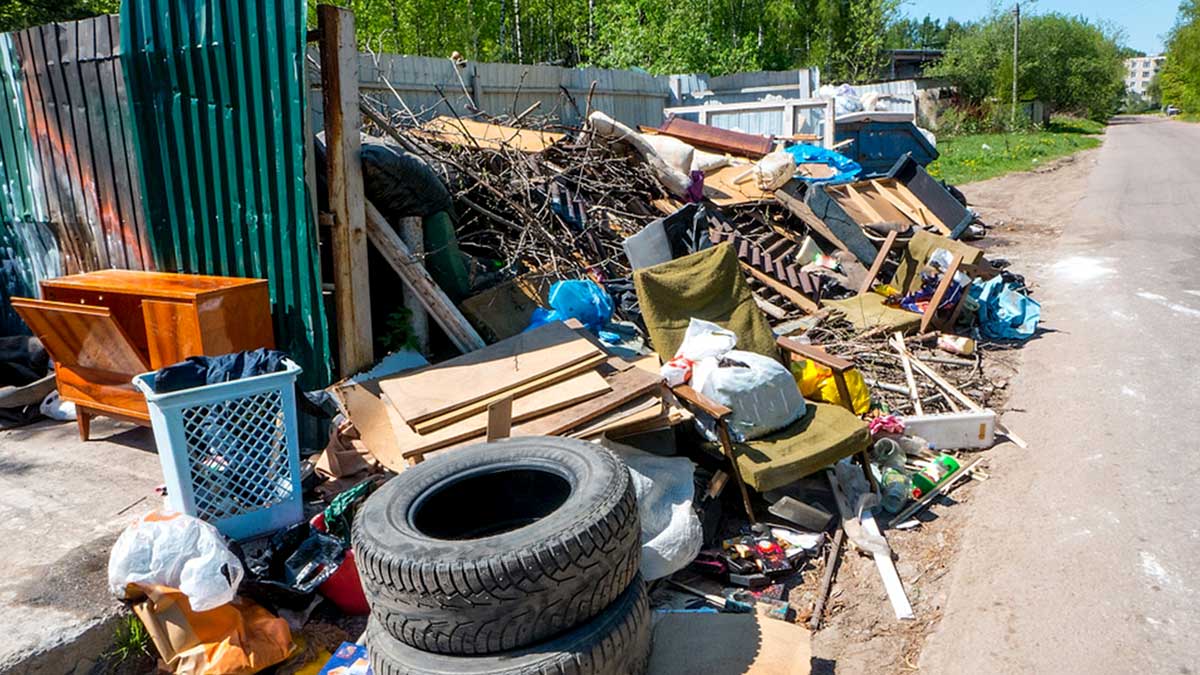 Junk Haul - Mowing and Removal Service